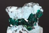 Dioptase Crystals In Shattackite - Congo #175957-3